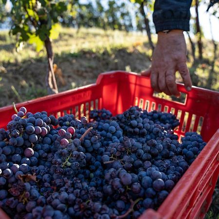 Agriturismo Antichi Poderi Gallina Neive Buitenkant foto