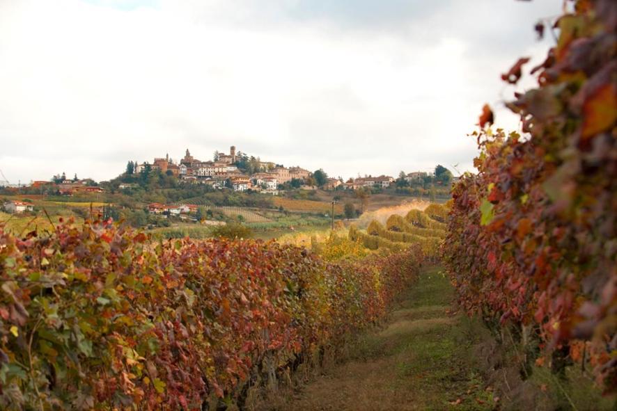 Agriturismo Antichi Poderi Gallina Neive Buitenkant foto