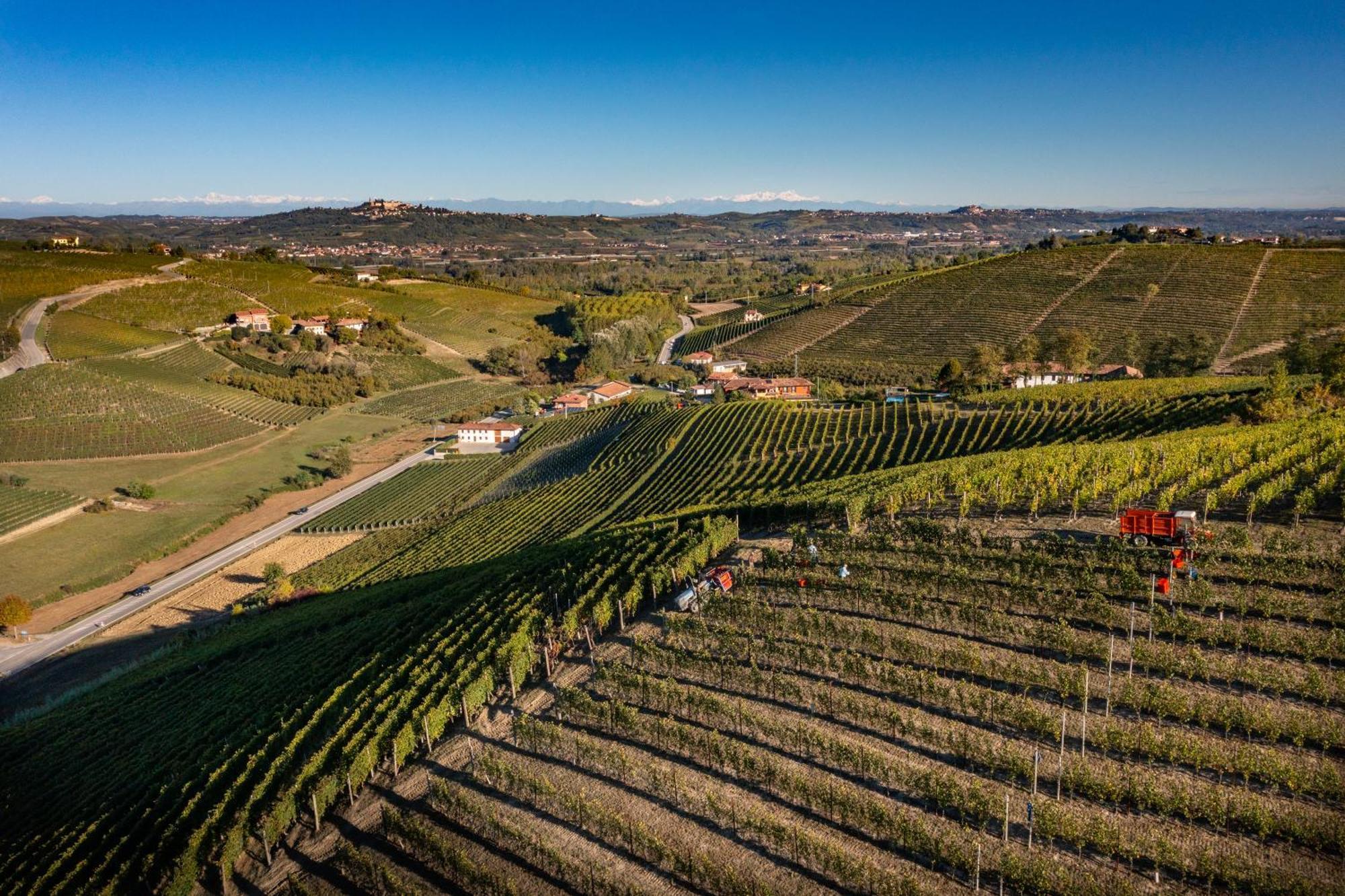 Agriturismo Antichi Poderi Gallina Neive Buitenkant foto